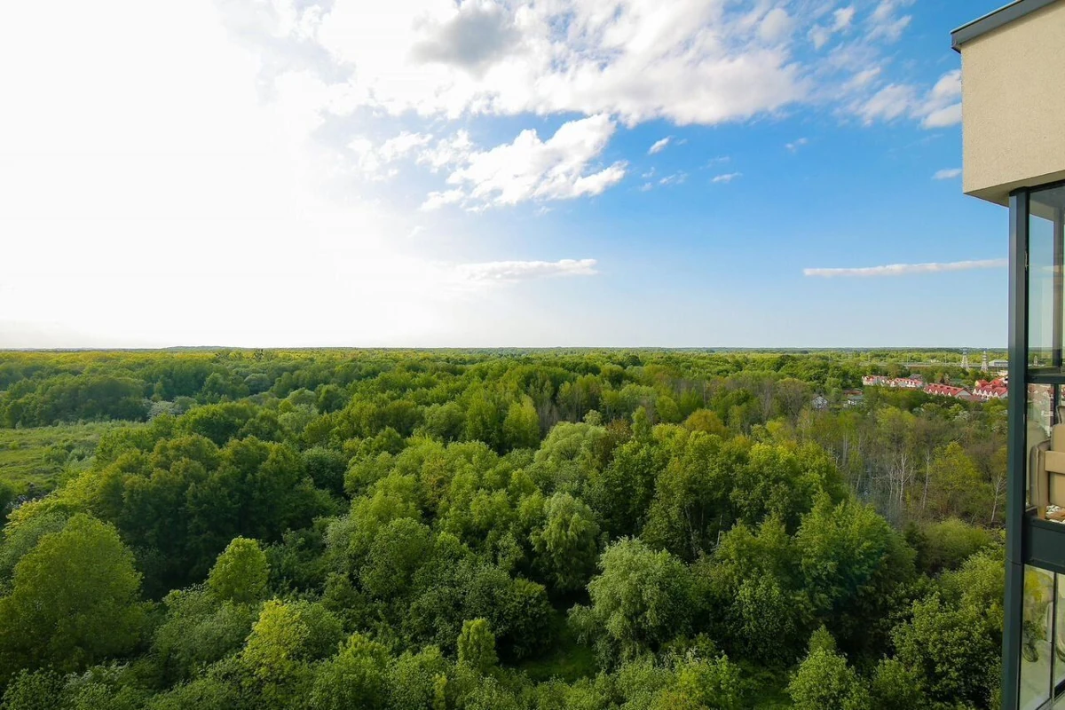 Однокомнатная квартира в ЖК «Альпенштадт»